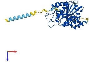 AlphaFold protein structure predicition of Mouse Recombinant B3galt5 Protein, UniprotID Q9JI67