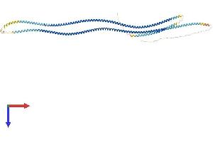 AlphaFold protein structure predicition of Human Recombinant TSGA10 Protein, UniprotID Q9BZW7