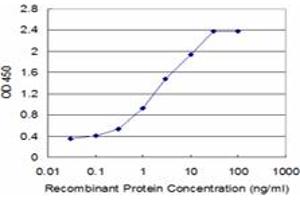 Detection limit for recombinant GST tagged TCAP is approximately 0. (TCAP anticorps  (AA 1-167))