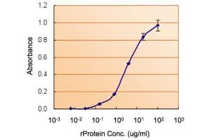 ELISA Image ELISA detection of NANOG using  for capture at a concentration of 5 µg/mL and  for detection at a concentration of 5 µg/mL.