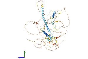 AlphaFold protein structure predicition of Human Recombinant RNF169 Protein, UniprotID Q8NCN4