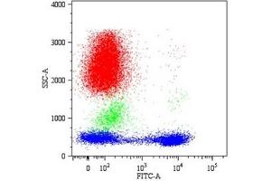 Flow Cytometry (FACS) image for anti-CD5 (CD5) antibody (ABIN238398)