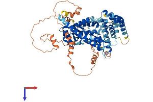 AlphaFold protein structure predicition of Mouse Recombinant Adck2 Protein, UniprotID Q6NSR3
