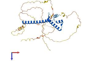 AlphaFold protein structure predicition of Human Recombinant NEUROD6 Protein, UniprotID Q96NK8