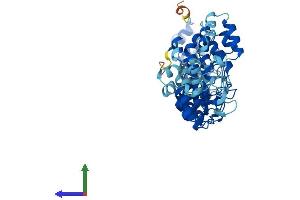 AlphaFold protein structure predicition of Human Recombinant ASB3 Protein, UniprotID Q9Y575