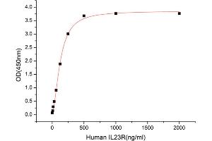 Activity Assay (AcA) image for Interleukin 23 Receptor (IL23R) (AA 24-355) (Active) protein (Fc Tag) (ABIN7607594)