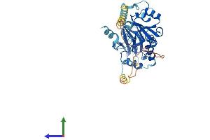AlphaFold protein structure predicition of Human Recombinant SNUPN Protein, UniprotID O95149
