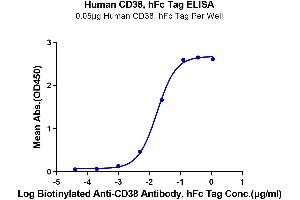 Immobilized Human CD38, hFc Tag at 0. (CD38 Protein (AA 43-300) (Fc Tag))