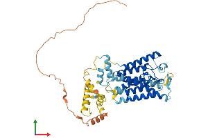 AlphaFold protein structure predicition of Human Recombinant RHBDL1 Protein, UniprotID O75783