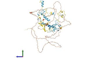 AlphaFold protein structure predicition of Human Recombinant ZCCHC7 Protein, UniprotID Q8N3Z6