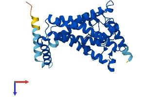 AlphaFold protein structure predicition of Human Recombinant MSMO1 Protein, UniprotID Q15800