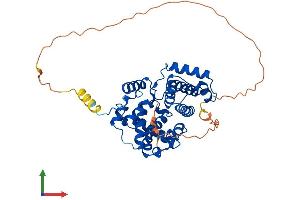 AlphaFold protein structure predicition of Mouse Recombinant Ccnb2 Protein, UniprotID P30276
