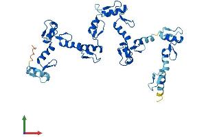 AlphaFold protein structure predicition of Human Recombinant ZNF883 Protein, UniprotID P0CG24