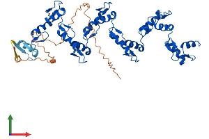 AlphaFold protein structure predicition of Human Recombinant ZFP2 Protein, UniprotID Q6ZN57