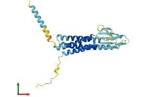 AlphaFold protein structure predicition of Mouse Recombinant Cacng6 Protein, UniprotID Q8VHW3