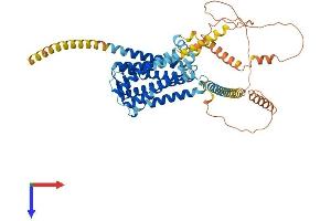 AlphaFold protein structure predicition of Mouse Recombinant Gpr161 Protein, UniprotID B2RPY5