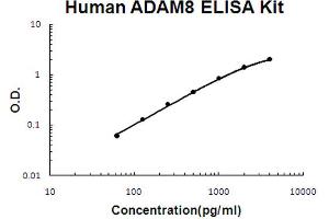 Human ADAM8 Accusignal ELISA Kit Human ADAM8 AccuSignal ELISA Kit standard curve. (ADAM8 Kit ELISA)