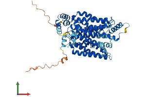 AlphaFold protein structure predicition of Human Recombinant SLC2A4 Protein, UniprotID P14672