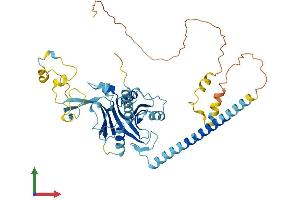 AlphaFold protein structure predicition of Human Recombinant PPAN Protein, UniprotID Q9NQ55
