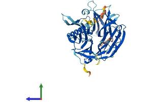 AlphaFold protein structure predicition of Mouse Recombinant Kptn Protein, UniprotID Q8VCX6