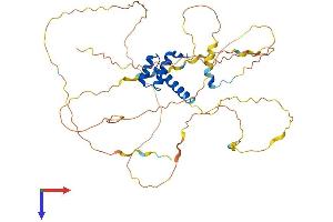 AlphaFold protein structure predicition of Human Recombinant HOXD3 Protein, UniprotID P31249