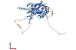 AlphaFold protein structure predicition of Mouse Recombinant Mgat3 Protein, UniprotID Q10470