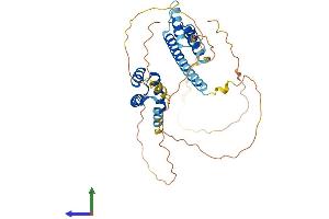 AlphaFold protein structure predicition of Human Recombinant MEIS3 Protein, UniprotID Q99687