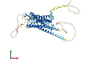AlphaFold protein structure predicition of Mouse Recombinant Cckbr Protein, UniprotID P56481