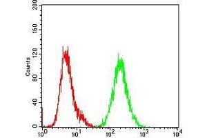 Flow cytometric analysis of NIH/3T3 cells using SHC1 mouse mAb (green) and negative control (red).