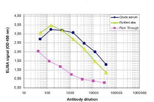 ELISA results of Rabbit anti-PHF8 antibody ELISA results of Rabbit anti-PHF8 antibody. (PHF8 anticorps)