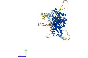 AlphaFold protein structure predicition of Mouse Recombinant Pi4k2b Protein, UniprotID Q8CBQ5