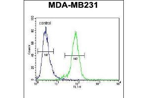 Flow cytometric analysis of MDA-MB231 cells (right histogram) compared to a negative control cell (left histogram). (PDE12 anticorps  (C-Term))
