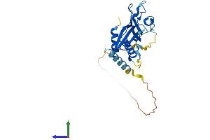 AlphaFold protein structure predicition of Human Recombinant RTP4 Protein, UniprotID Q96DX8