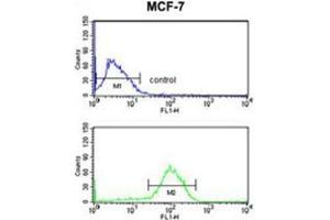 AGR3 Antibody (C-term) flow cytometry analysis of MCF-7 cells (bottom histogram) compared to a negative control cell (top histogram). (AGR3 anticorps  (C-Term))