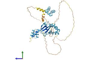 AlphaFold protein structure predicition of Mouse Recombinant Rad23b Protein, UniprotID P54728