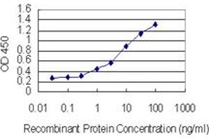 Detection limit for recombinant GST tagged SUMO4 is 0.