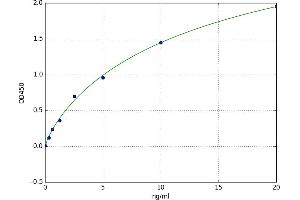 Plectin (PLEC) ELISA Kit