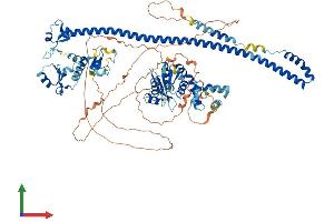 AlphaFold protein structure predicition of Mouse Recombinant Pml Protein, UniprotID Q60953