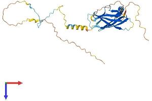 AlphaFold protein structure predicition of Mouse Recombinant Ppp1r3b Protein, UniprotID Q8C767