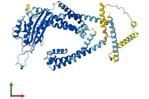 AlphaFold protein structure predicition of Human Recombinant PKD2L2 Protein, UniprotID Q9NZM6