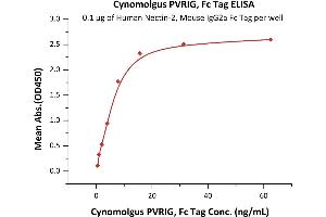 Immobilized Human Nectin-2, Mouse IgG2a Fc Tag (ABIN6386453,ABIN6388251) at 1 μg/mL (100 μL/well) can bind Cynomolgus PVRIG, Fc Tag (ABIN6731272,ABIN6809885) with a linear range of 0.
