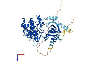 AlphaFold protein structure predicition of Mouse Recombinant Stk32b Protein, UniprotID Q9JJX8