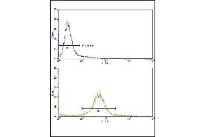 Flow cytometric analysis of 293 cells using X8 Antibody (Center)(bottom histogram) comred to a negative control cell (top histogram).