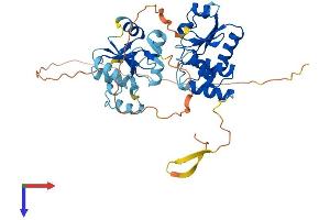 AlphaFold protein structure predicition of Mouse Recombinant Dusp7 Protein, UniprotID Q91Z46