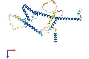 AlphaFold protein structure predicition of Human Recombinant SURF6 Protein, UniprotID O75683