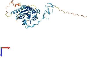 AlphaFold protein structure predicition of Mouse Recombinant Gtf2h3 Protein, UniprotID Q8VD76