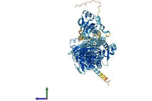 AlphaFold protein structure predicition of Human Recombinant ATP2C1 Protein, UniprotID P98194