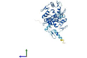 AlphaFold protein structure predicition of Human Recombinant ZNF883 Protein, UniprotID P0CG24
