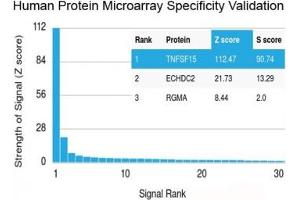 Analysis of HuProt(TM) microarray containing more than 19,000 full-length human proteins using recombinant TL1A antibody (clone rVEGI/1283). (TNFSF15 anticorps)