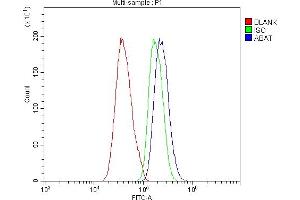 Flow Cytometry analysis of CACO-2 cells using anti-ABAT antibody (ABIN4886408).